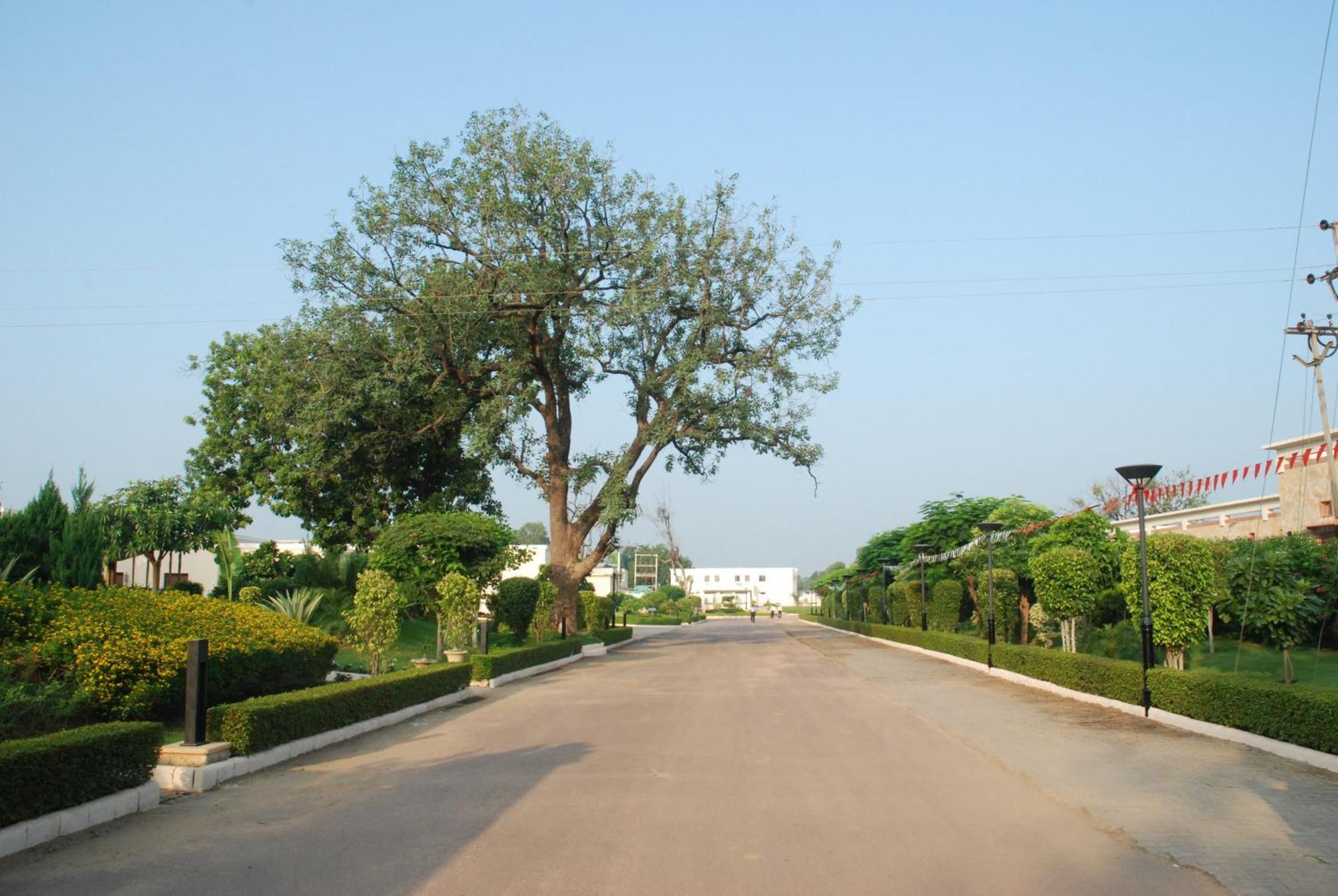 Hotel The Lalit Temple View à Khajurāho Extérieur photo